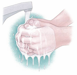 umivanje-rok